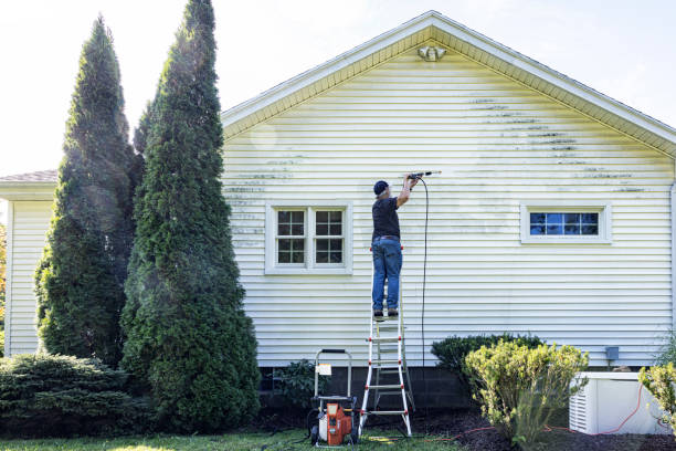 Boat and Dock Cleaning in Effort, PA